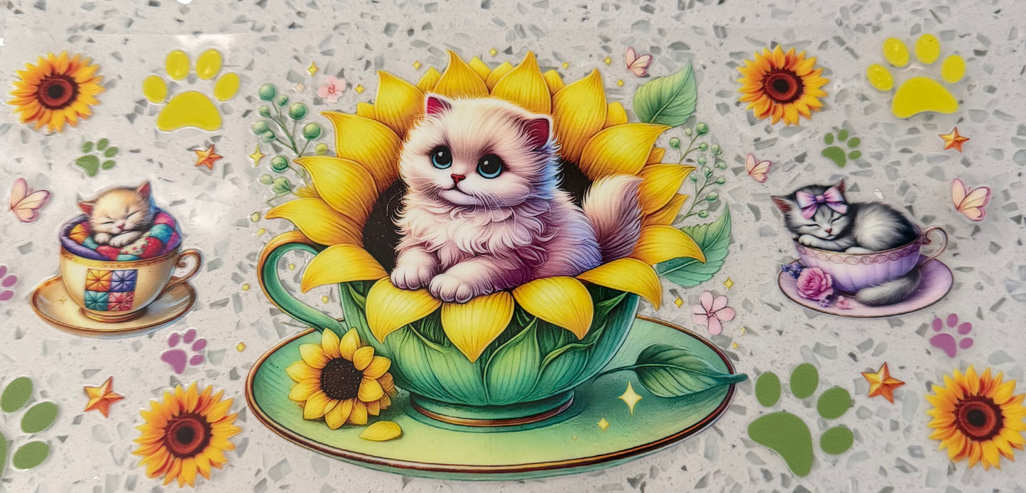 Cat sunflower