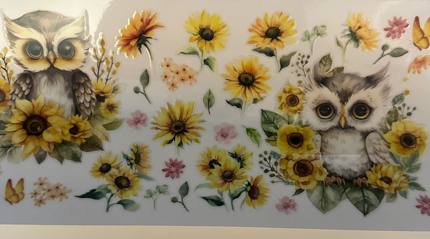 Sunflower owl