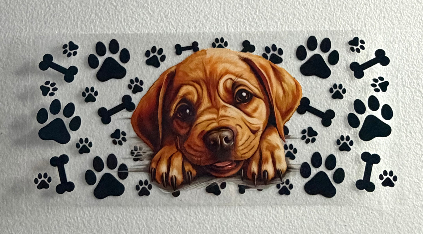 Dog 2