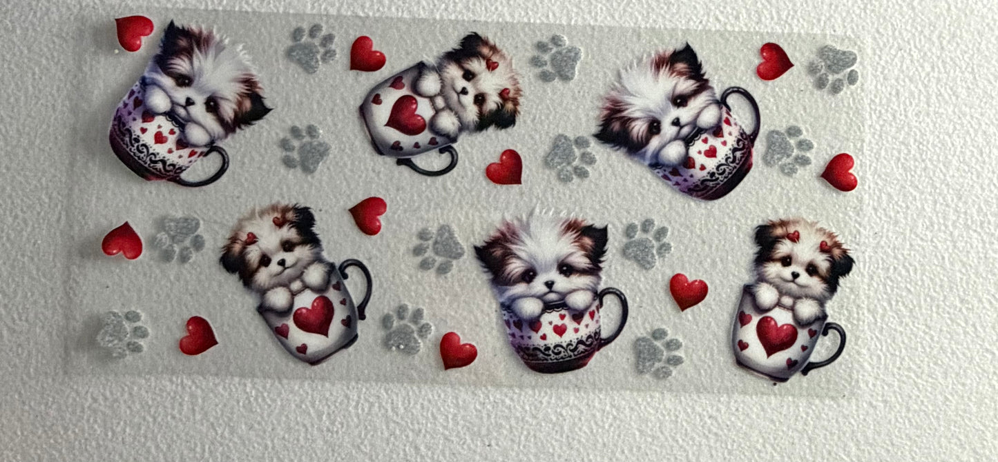 Teacup puppy