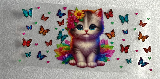 Cat colorful