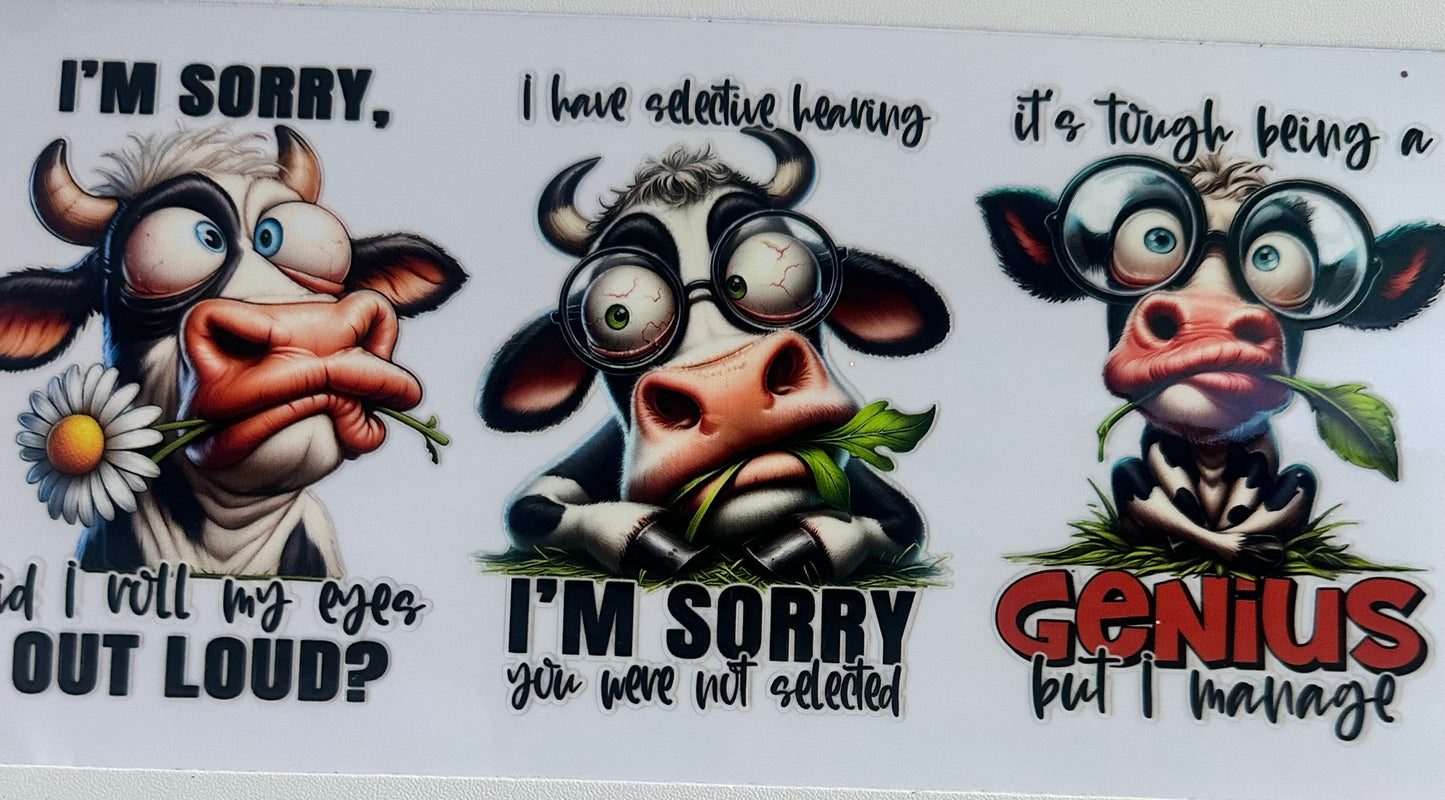 Cow did I roll my eyes