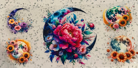 Moon 23