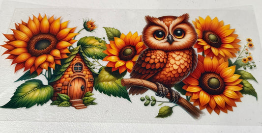 Owl Sun flower